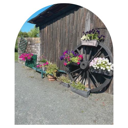 location gite commequiers